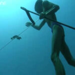 underwater-hunter-goes-to-bottom-of-sea-to-hunt-for-fish-without-air-03